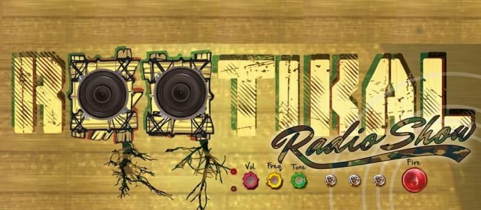 Reggae Vibe Mix Session show artwork